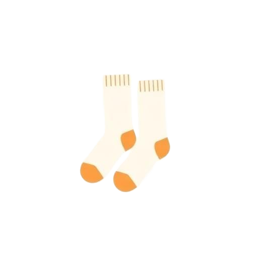 Chaussettes